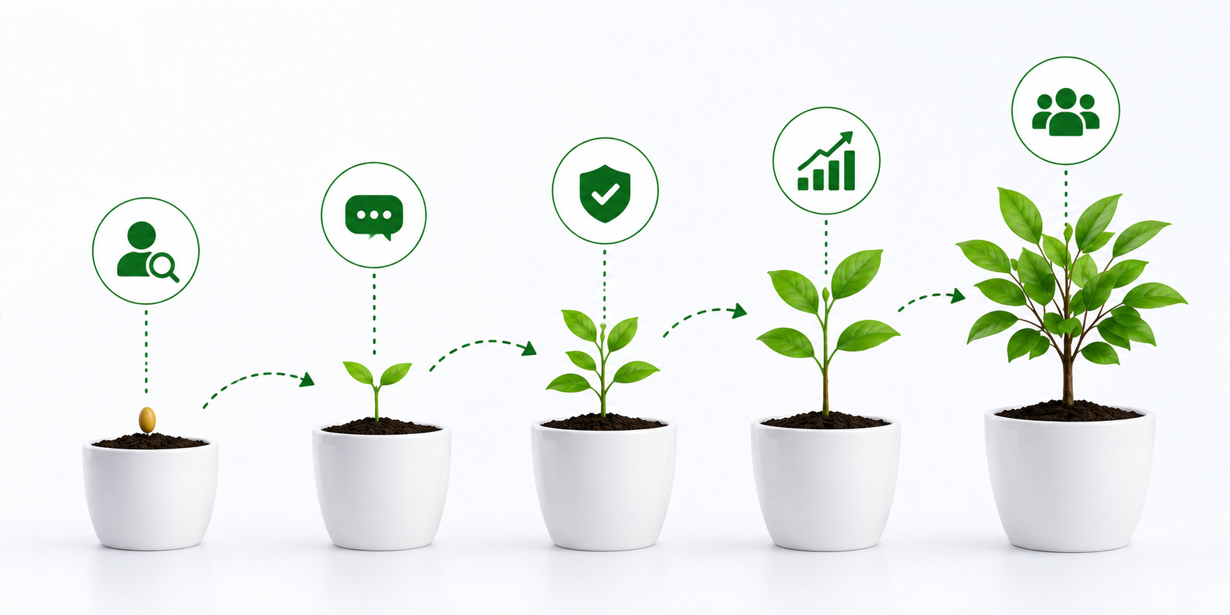 Plant the cross selling seed